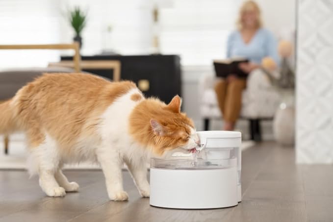 PetSafe Outlast Pumpless Cat Water Fountain, 60 oz/1.7L, Dishwasher Safe | Pumpless HydroSpin Design Circulates 60 Oz Water, Ion-x Carbon/Ion-Exchange Filter, Smart Sensors Slow Flow at Night - Image 8