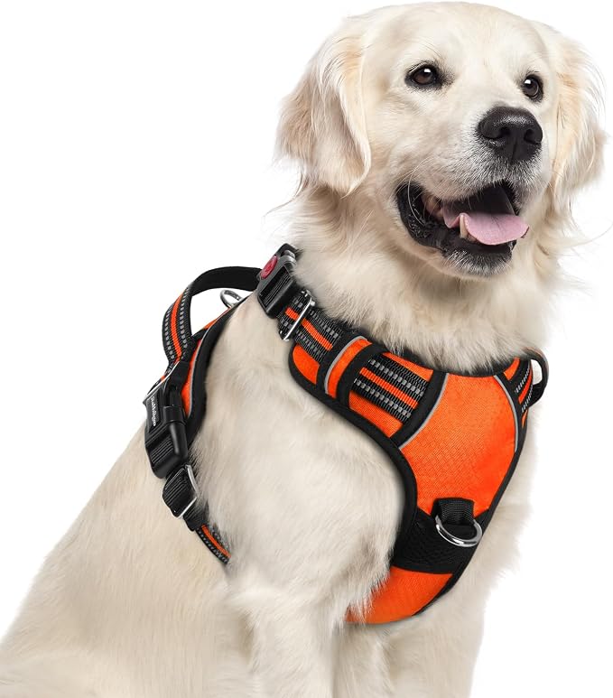 rabbitgoo Dog Harness for Large, No Pull 3 Buckles Easy On & Off | Soft Padded, Walking with Control Handle, Adjustable and Reflective, Orange, X-Large by rabbitgoo