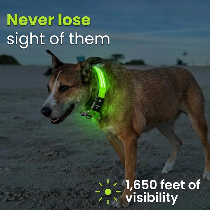 Tractive LED Light Up Dog Collar USB Rechargeable Waterproof (Green) - Image 2
