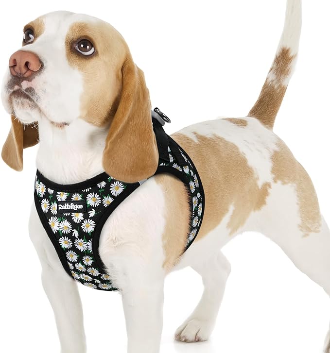 rabbitgoo Step-in Small Dog Harness, Puppy Vest for Small Sized Pet | Easy Put on and off, Lightweight, Soft, Breathable Quick-Dry Air Mesh for Comfortable Secure Walking, Midnight Daisy M by rabbitgoo
