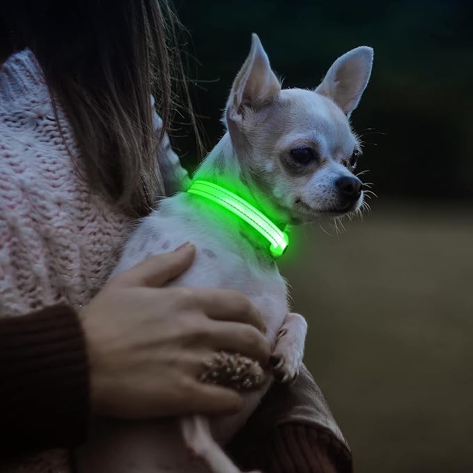 Visinite Light Up Dog Collars for Small Dogs,LED Dog Collar Light Rechargeable,Fully Adjustable Lighted Dog Collar,Glow in The Dark Dog Collars with Dog Lights for Night Walking,Green - Image 6