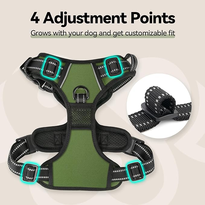 No Pull Dog Harness with Handle Front & Back Clip, Easy on | Lockable Snap Buckle at Neck, Adjustable Reflective Vest with Handle for Small Medium Large Dogs (L, Misty Green) - Image 7