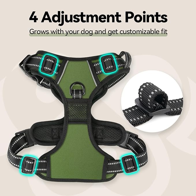 No Pull Dog Harness with Handle Front & Back Clip, Easy on | Lockable Snap Buckle at Neck, Adjustable Reflective Vest with Handle for Small Medium Large Dogs (M, Misty Green) - Image 7