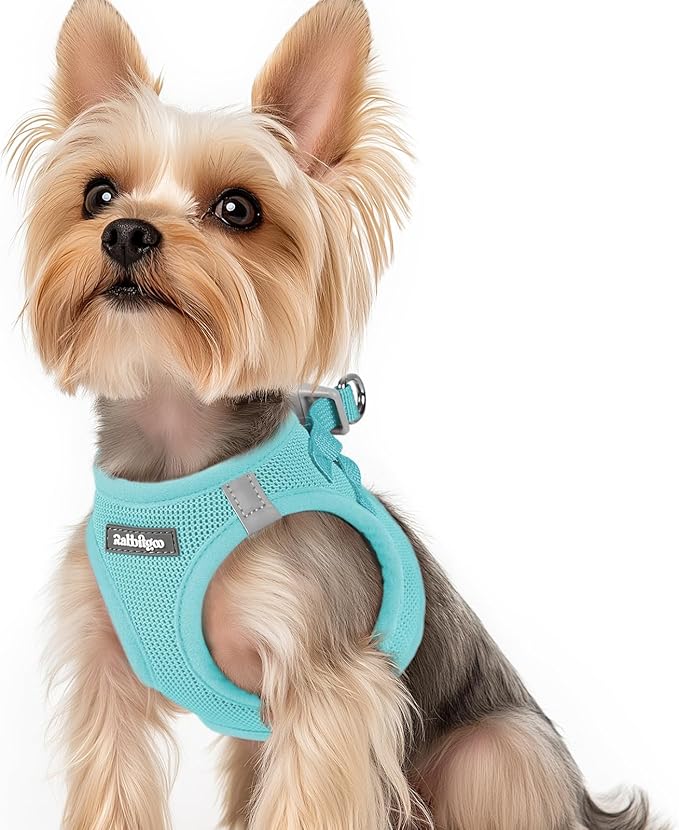 rabbitgoo Step-in Small Dog Harness, Puppy Vest for Small Sized Pet | Easy Put on and off, Lightweight, Soft, Breathable Quick-Dry Air Mesh for Comfortable Secure Walking, Mint Blue XS by rabbitgoo