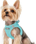 rabbitgoo Step-in Small Dog Harness, Puppy Vest for Small Sized Pet | Easy Put on and off, Lightweight, Soft, Breathable Quick-Dry Air Mesh for Comfortable Secure Walking, Mint Blue XS by rabbitgoo