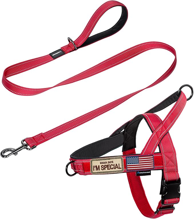 Annchwool No Pull Dog Harness with Padded Handle+5 Ft Leash,Reflective Strip Escape Proof and Quick Fit to Adjust Dog Harness,Easy for Training Walking for Small & Medium and Large Dogs(Red-Set,XL) by Annchwool