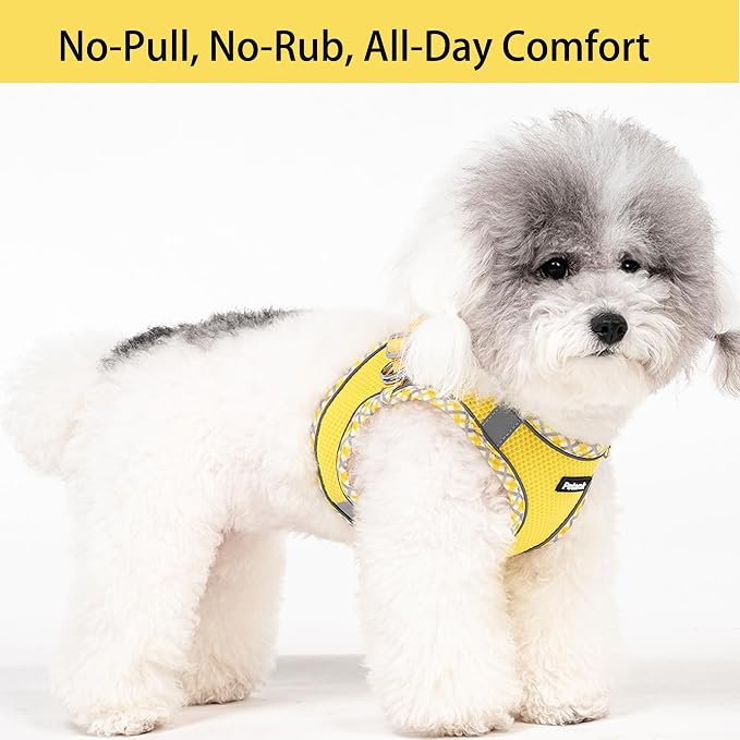 Petank Dog Harness for Small Medium Dogs No Pull, Puppy Harness and Leash Set for Walking, Running, Training, Small Dog Harness, Medium Dog Harness (Yellow, XS) - Image 2