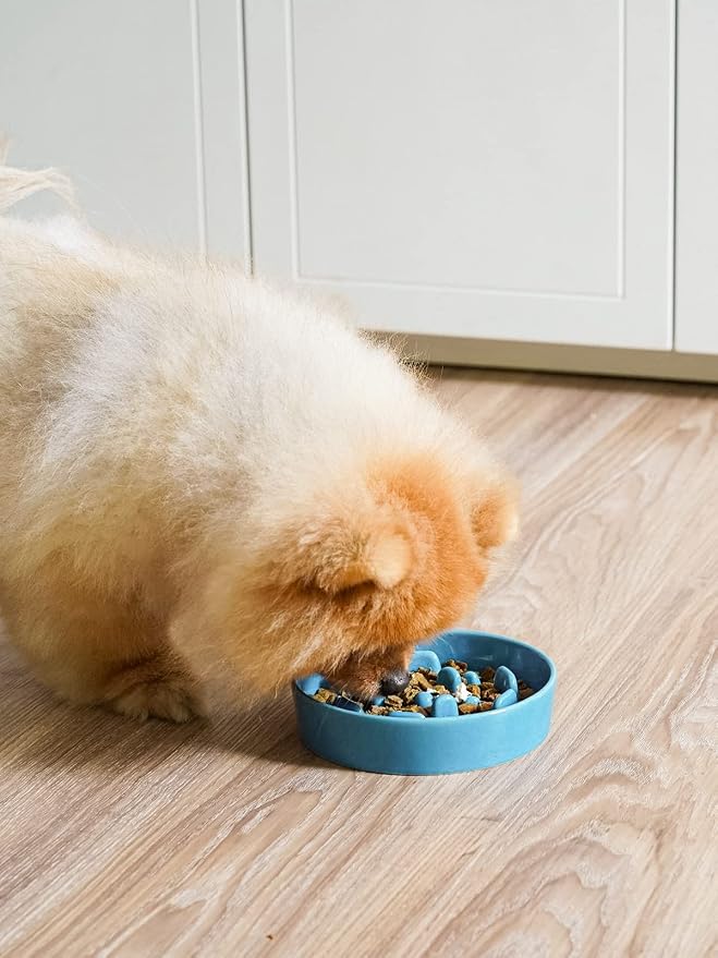 LE TAUCI Ceramic Slow Feeder Dog Bowls Small Breed, 0.6 Cups Dog Food Dish for Fast Eaters, Puzzle Bowl for Small Dogs and Cats,Vortex Blue - Image 2