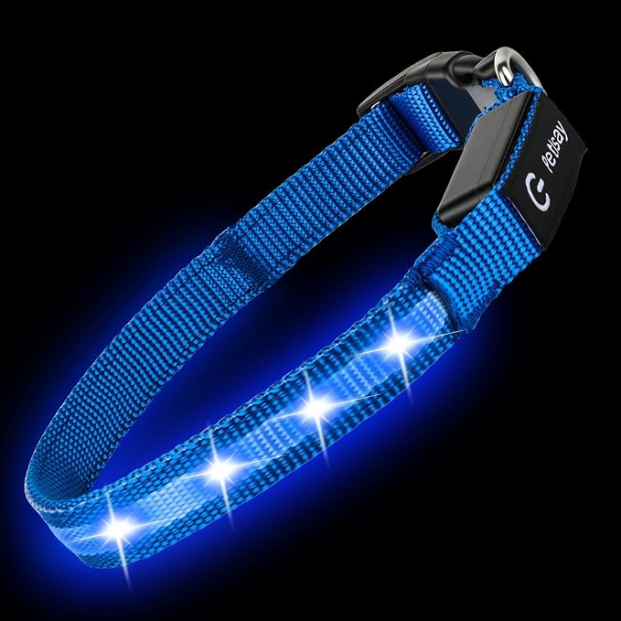 Super Bright LED Dog Collar, Waterproof Light up Collars(Blue, X-Small) | Lighted Dog Collar with Adjustable Fit, Soft Nylon Comfort, USB-C Rechargeable, Glow in the Dark Visibility for Night Walks - Image 3