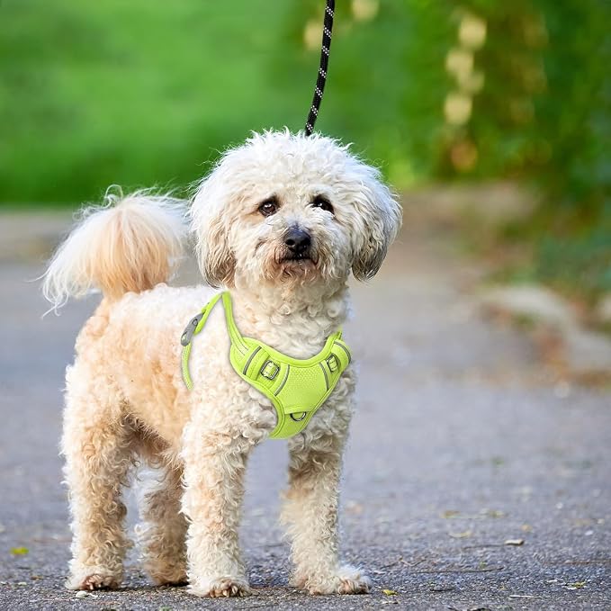 BARKBAY No Pull Dog Harness Large Reflective Dog Harness with Front Clip and Easy Control Handle for Walking Training Running with ID tag Pocket(Sunlight,S) - Image 9