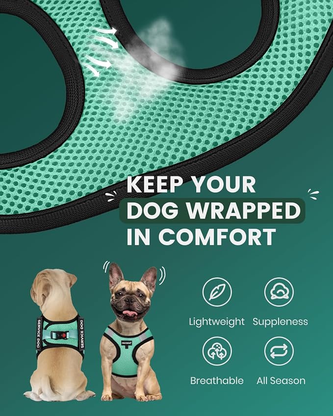 FAYOGOO Service Dog Vest Set for Small Dogs, Mesh Harness and Leash | Lightweight step-in vest with leash and removable identification patches; measure neck and chest before choosing a size - Image 3