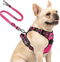 Joytale No Pull Dog Harness & Seat Belt, Easy On 3-Buckle, S, Hot Pink | Front Clip Reduces Pulling, Escape-Resistant Design, Adjustable Fit, Soft Padding for Comfort, Secure Tether for Safer Travel by Joytale