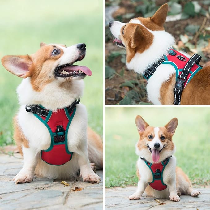 Upgraded No Pull Dog Harness, Reflective Adjustable Vest | with a Training Handle + 2 Metal Leash Hooks+ 3 Snap Buckles +4 Slide Buckles(XS, Red) - Image 6