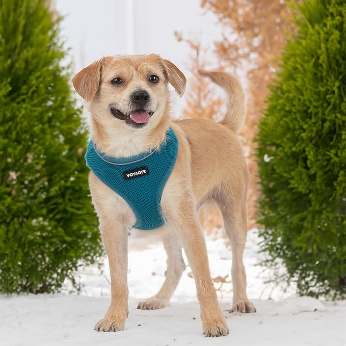 Best Pet Supplies Voyager Aerolite Over the Head Dog Harness, No Pull Breathable Air Mesh Vest, Quick Dry with Reflective Stitching, Adjustable Escape Resistant Harness - Turquoise, Medium - Image 6