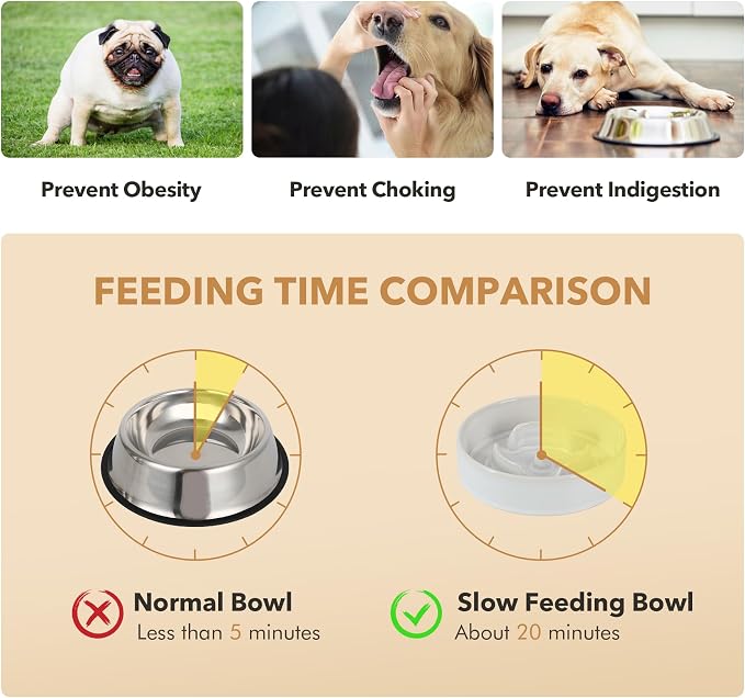 Havniva Raised Slow Feeder Dog Bowls, Elevated Dog Bowls Slow Feeder Set | 0.9 Cups Ceramic Dog Bowl Elevated with Acacia Wood Stand, Raised Dog Food Bowl, Puzzle Slow Feeder for Small Dogs, Non-Slip - Image 7