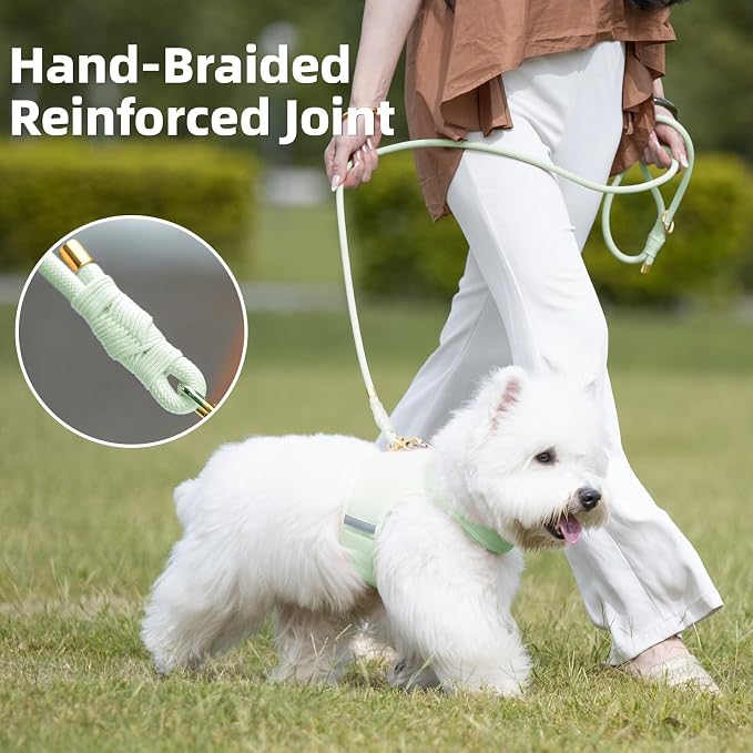 5FT Dog Leash 5/16 inch Puppy Cat Rope Lead | Light Green, with Anti-tangle Swivel Clip, Comfortable Non-slip Grip Handle, Ideal for Daily Walks, for Small Medium Dogs - Image 3