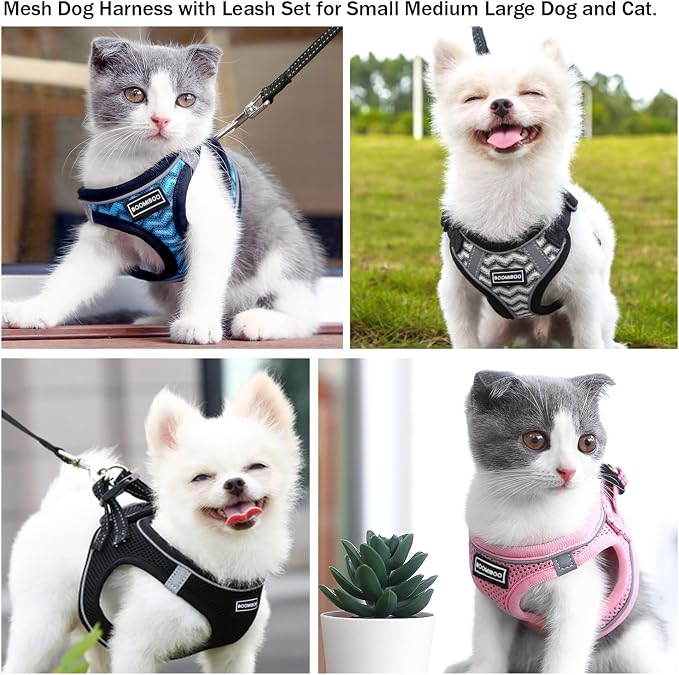 Dog Harness with Leash Set, Step-in Adjustable Puppy Pet Vest,Camo Set XXS | Lightweight Breathable Air Mesh, Night Safety Reflective, No Pull Puppy Vest Harnesses for Small Medium Large Dogs, Cats - Image 6