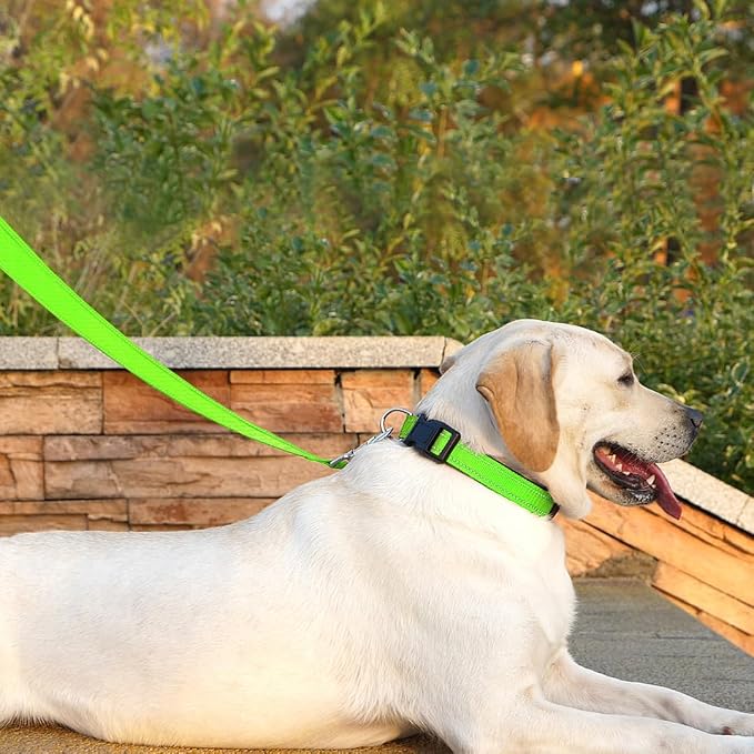 6 FT Basic Dog Leash for Large Dogs,Green | Padded Handle,Metal D-Ring,Heavy Duty Nylon Webbing, for Walking & Training - Image 3