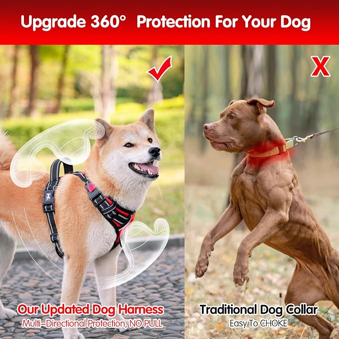 PoyPet Dog Harness and Leash Set, No Pull Vest with Front Clip and Handle | Escape Proof, Reflective, 3 Buckles, 2 D-rings, Adjustable, Soft Padded, 5 Feet Leash, for Walking Training, Red, S - Image 5