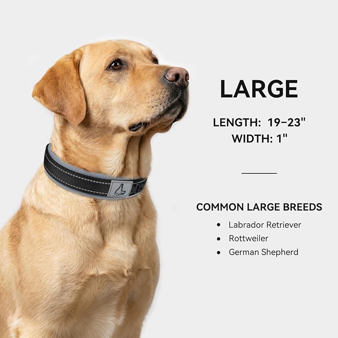 Joytale Reflective Dog Collar for Large Dogs with Wide Padding, Black | Soft Cushion Reduce Neck Strain, Night Safety Walking, Metal Buckle and Adjustable Eyelets, Separated Dog ID Tag Ring - Image 5