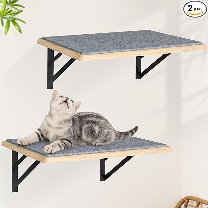 Burlywood Cat Furniture Indoor Set of 2: Wood Shelves with Scratching Pad, Climbing Shelf for Sleeping & Playing, Window Perch for Big Cats by GADKE
