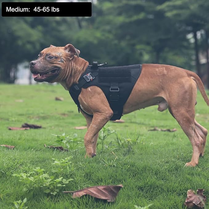 ICEFANG Tactical Dog Harness for Medium Dogs,Reflective No Pull Dog Vest | with Control Handle,Adjustable,Front Hook,2 Leash Clips,Soft Padded,MOLLE Panel,Black,Medium - Image 2