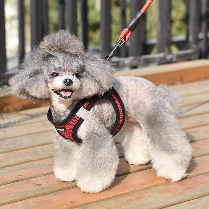 Dog Harness Step-in Breathable Puppy Cat Dog Vest Harnesses for Small Medium Dogs - Image 6
