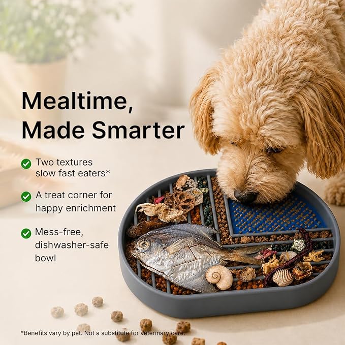 Snack Dish Slow Feeder Bowl for Dogs & Cats – Dual Pattern Design with Treat Corner, Mess-Free Feeding, Dishwasher Safe | Kubi Pets | (Gray) - Image 2