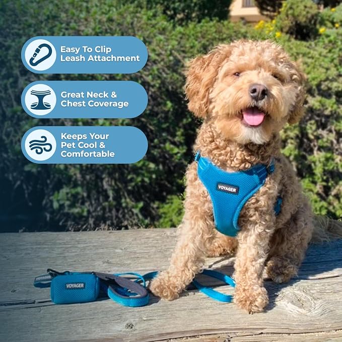 Voyager Step-in Flex Adjustable Dog Harness - Turquoise, Large | 20 - 25" in Chest, Fully Adjustable, Reflective Bands, All Weather Breathable Air Mesh, Lightweight, Fast Drying - Image 5
