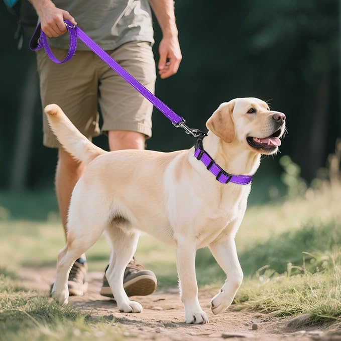 Joytale Reflective Dog Collar, Adjustable Neoprene Padded, Purple L | Breathable Nylon for Large Dogs, No Chafing on Walks and Outdoor Hikes, Tear-Resistant Webbing, Metal D-Ring, Night Safety - Image 6