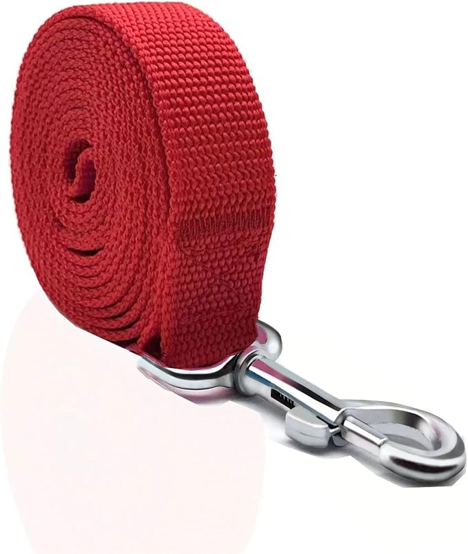 Nylon Dog Leash 4 Ft 5 Feet 6 Foot Long, Walking Training Dog Leashes for Medium Large Dogs, 1 Inch Wide (3/4" X 6 ft, Red) - Image 2
