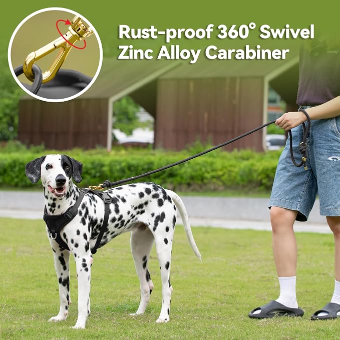 5FT Dog Leash Puppy Cat Rope Lead for Small Medium Large Dogs | Black, with Anti-tangle Swivel Clip, Traffic Non-slip Grip Handle for Extra Control, Ideal for Daily Walks and Training - Image 4