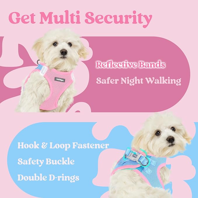 rabbitgoo Step-in Small Dog Harness, Puppy Vest for Medium Sized Pet | Easy Put on and off, Lightweight, Soft, Breathable Quick-Dry Air Mesh for Comfortable Secure Walking, Blue & Light Pink XXL - Image 7