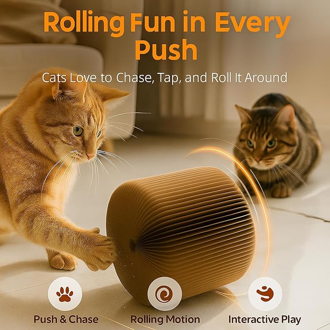 Interactive Cat Toy, Kitty Curls Cat Scratcher, Twisty Paws Cat Scratching Post, Kitty Kurls Magic Organ Cat Scratch Pad with Ball Toy for Indoor Cats, Kitty kurlz Modern Cat Scratching Board - Image 6