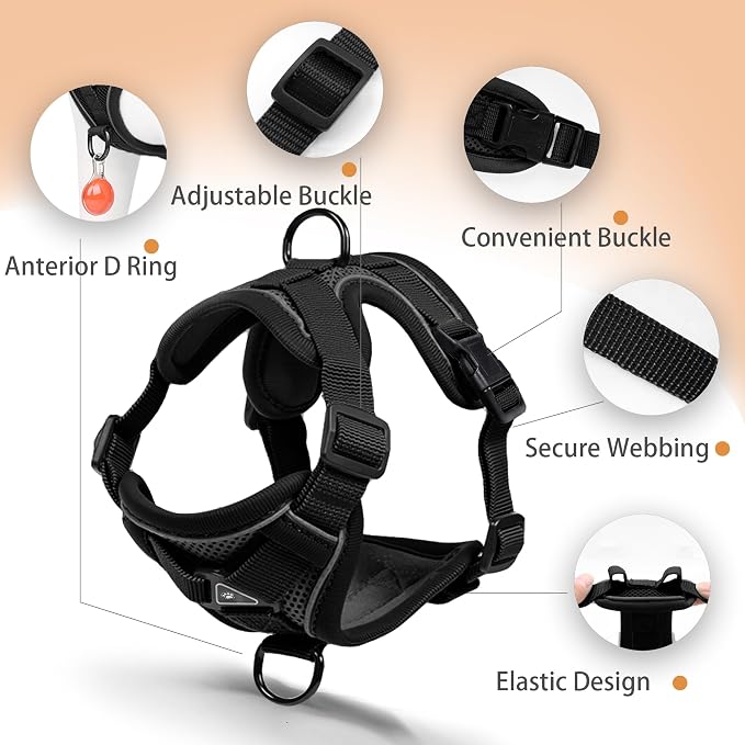 Dog Harness Medium Sized Dog Pet Vest with Leash Set Black XL | Adjustable Puppy Vest Harness, No Choke No Pull, Soft Padded, Step-in Dog Vest, Reflective Cat Harness, Breathable Air Mesh - Image 3