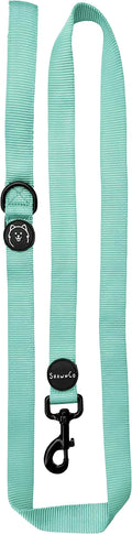 ShawnCo Dream Walk Dog Leash (Seafoam,Medium/Large) | Soft Neoprene Handle, Premium, Durable, Nylon Pet Leash for Small, Medium and Large Dogs, For Everyday Walks and Training by SHAWNCO