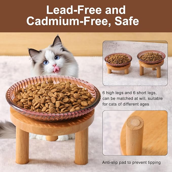 Cat Bowls Whisker Friendly with Wooden Stands. Raised Elevated Glass Whisker Fatigue Cat Bowl for Indoor Cats. 2PCS (Purple) - Image 4
