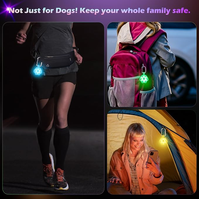 2 Pack LED Dog Collar Light, 7-Color Changing USB Rechargeable Dog Night Lights for Walking, Waterproof High Visibility Clip on Safety Light for Dog Collars, Harnesses & Leashes - Image 6