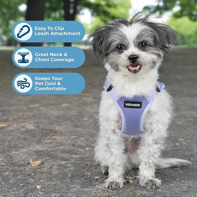 Voyager Step-in Flex Adjustable Dog Harness - Lavender, Small | 15 - 18" in Chest, Fully Adjustable, Reflective Bands, All Weather Breathable Air Mesh, Lightweight, Fast Drying - Image 2