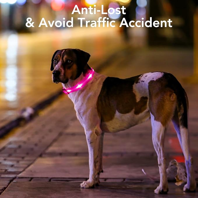 Weesiber Light Up Dog Collars - Rechargeable LED Collar - Reflective Adjustable Dog Lights for Night Walking (Pink, Small) - Image 2