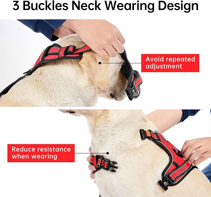 IVY&LANE No Pull Dog Harness for Medium Dogs, Dog Vest Harness with Leash, Safety Belt and Storage Strap, Fully Adjustable, 360° Reflective Strip, Soft Handle (Red, M) - Image 3