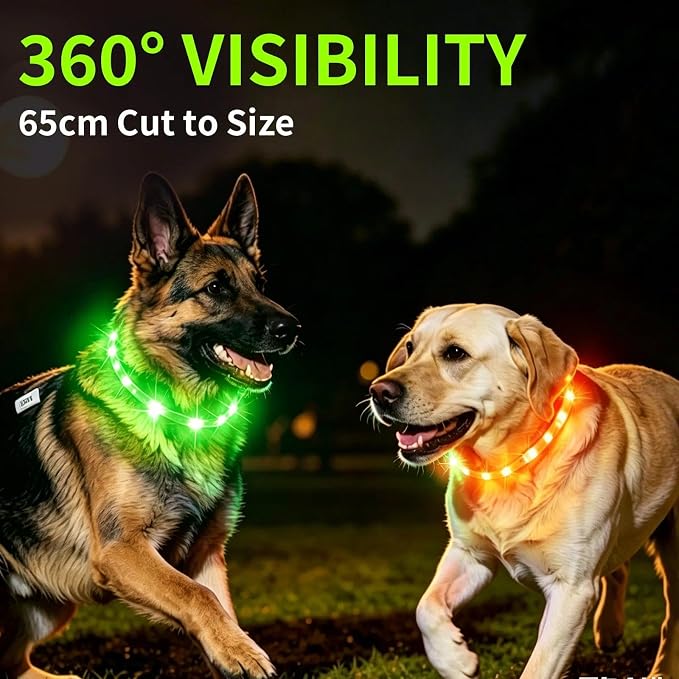 LaRoo LED Dog Collar, USB Rechargeable Flashing Light Dog Collar, Nighttime Safety, Cuttable Size for Small Medium Large Dogs, Makes Your Pet Visible in The Dark (Green) - Image 2