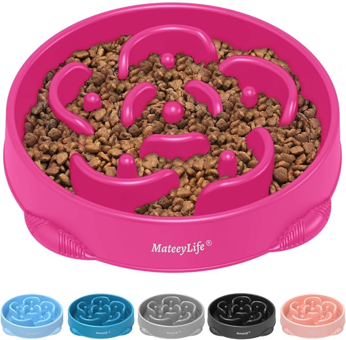 MateeyLife 1-Pack Slow Feeder Dog Bowls, 4 Cups, Dog Puzzle Feeder Bowl | Food-contact safe, dishwasher safe, non-slip base, maze design, for fast eaters, for dogs and cats, daily mealtimes by MateeyLife