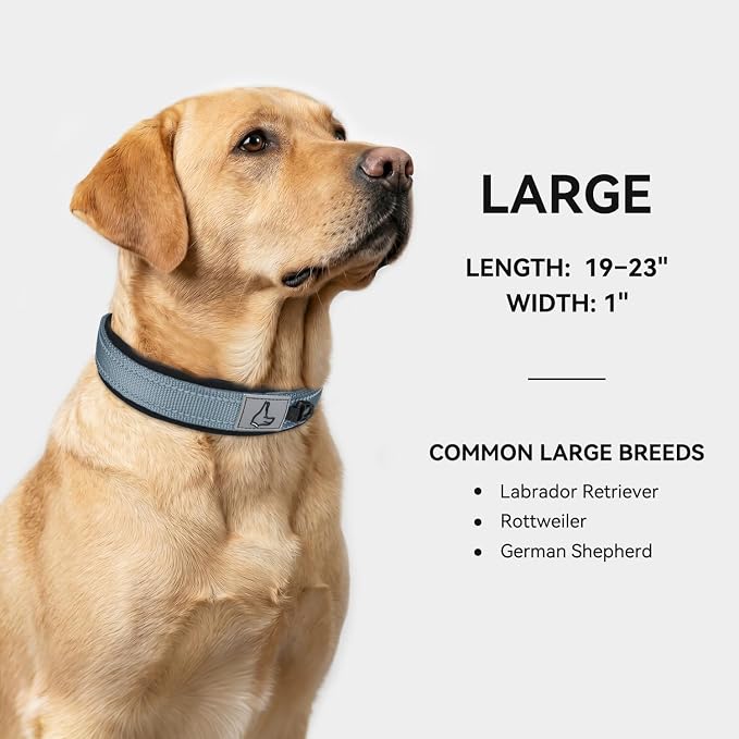 Joytale Reflective Dog Collar for Large Dogs with Wide Padding, Gray | Soft Cushion Reduce Neck Strain, Night Safety Walking, Metal Buckle and Adjustable Eyelets, Separated Dog ID Tag Ring - Image 5