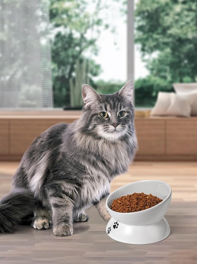 Y YHY Large Raised Cat Food Bowl, 7 Inch Tilted Elevated Bowl, Ceramic Pet Food Bowl for Adult Cats and Medium Dogs, Anti Vomiting, Protects Pet's Spine, Dishwasher Safe - Image 7
