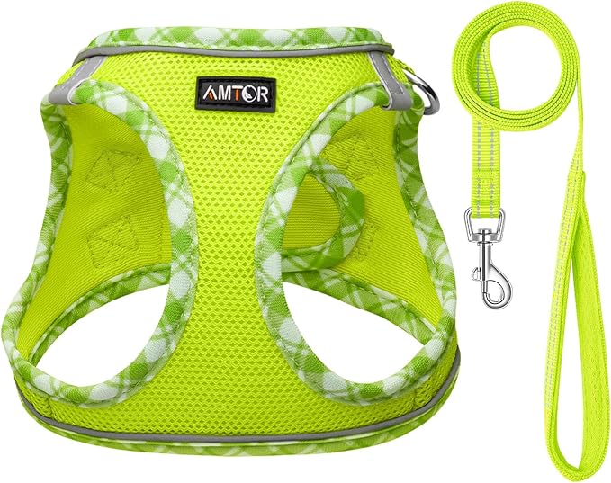 AMTOR Small Dog Harness with Leash Set, No Escape Easy Walk Puppy Harnesses for Training Walking, Step-in Reflective Soft Dogs Vest for XS S Medium Extra-Small Large Sized Dog(Green/White,L) - Image 2