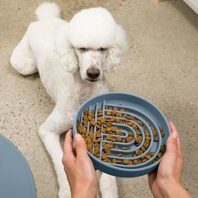 Should We Go? Slow Feeder Dog Bowls - Large Size Silicone Slow Eating Dog Bowl for Puppies & Dogs with Suction Cup -Dishwasher-Safe, Lick Mat Design, Reduces Gulping,for All Breeds,9.5”x1.5”- Ocean - Image 6