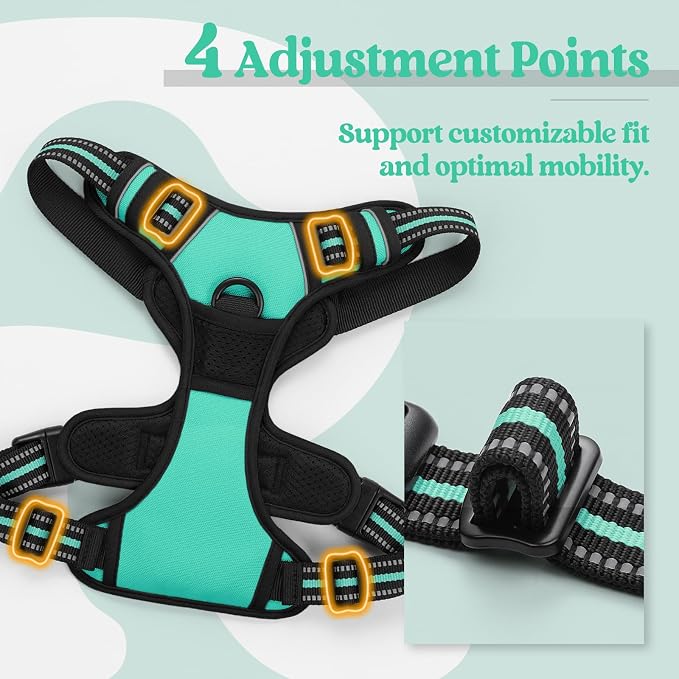 rabbitgoo Dog Harness, No Pull for Large Dogs with 2 Leash Clips, Pet Vest | No Choke with Handle, Adjustable Soft Padded, Reflective, Easy Control for Walking, Turquoise, X-Large - Image 4