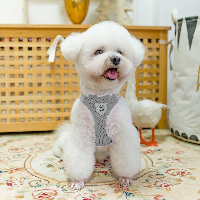 PUPTECK Adjustable Dog Harness Collar and Leash Set Step in No Pull Pet Harness for Small Medium Dogs Puppy and Cats Outdoor Walking Running, Soft Mesh Padded Reflective Vest Harnesses, Solid Grey XS | Soft Mesh Puppy Step-in Escape Proof Reflective No... - Image 7