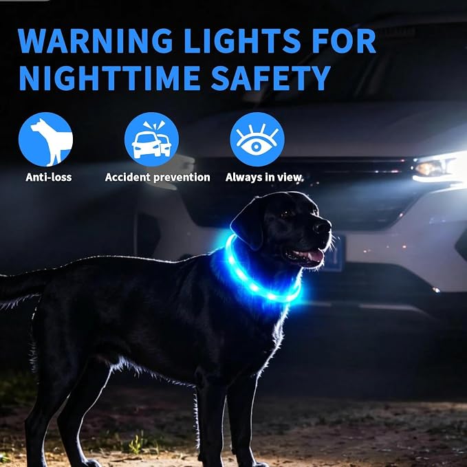 LaRoo LED Dog Collar, USB Rechargeable Flashing Light Dog Collar, Nighttime Safety, Cuttable Size for Small Medium Large Dogs, Makes Your Pet Visible in The Dark (Blue) - Image 3